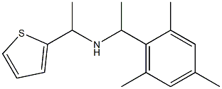 [1-(thiophen-2-yl)ethyl][1-(2,4,6-trimethylphenyl)ethyl]amine 结构式