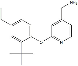 [2-(2-tert-butyl-4-ethylphenoxy)pyridin-4-yl]methanamine 结构式