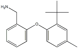 [2-(2-tert-butyl-4-methylphenoxy)phenyl]methanamine 结构式