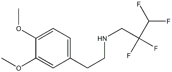 [2-(3,4-dimethoxyphenyl)ethyl](2,2,3,3-tetrafluoropropyl)amine 结构式