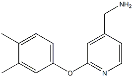 [2-(3,4-dimethylphenoxy)pyridin-4-yl]methylamine 结构式