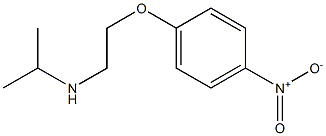 [2-(4-nitrophenoxy)ethyl](propan-2-yl)amine 结构式