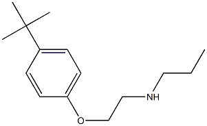 [2-(4-tert-butylphenoxy)ethyl](propyl)amine 结构式