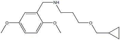 [3-(cyclopropylmethoxy)propyl][(2,5-dimethoxyphenyl)methyl]amine 结构式