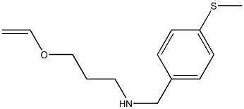 [3-(ethenyloxy)propyl]({[4-(methylsulfanyl)phenyl]methyl})amine 结构式