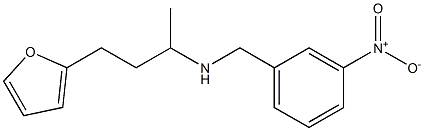 [4-(furan-2-yl)butan-2-yl][(3-nitrophenyl)methyl]amine 结构式