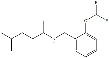 {[2-(difluoromethoxy)phenyl]methyl}(5-methylhexan-2-yl)amine 结构式