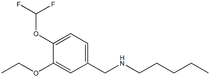 {[4-(difluoromethoxy)-3-ethoxyphenyl]methyl}(pentyl)amine 结构式