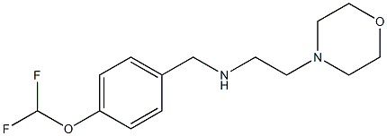 {[4-(difluoromethoxy)phenyl]methyl}[2-(morpholin-4-yl)ethyl]amine 结构式