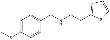 {[4-(methylsulfanyl)phenyl]methyl}[2-(thiophen-2-yl)ethyl]amine 结构式