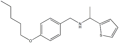 {[4-(pentyloxy)phenyl]methyl}[1-(thiophen-2-yl)ethyl]amine 结构式