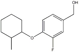 {3-fluoro-4-[(2-methylcyclohexyl)oxy]phenyl}methanol 结构式