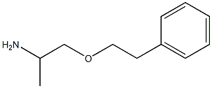 1-(2-phenylethoxy)propan-2-amine 结构式