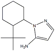 1-(2-tert-butylcyclohexyl)-1H-pyrazol-5-amine 结构式