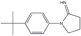 1-(4-tert-butylphenyl)pyrrolidin-2-imine 结构式