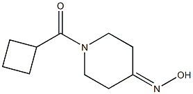 1-(cyclobutylcarbonyl)piperidin-4-one oxime 结构式