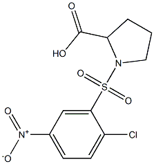 1-[(2-chloro-5-nitrobenzene)sulfonyl]pyrrolidine-2-carboxylic acid 结构式