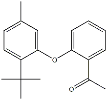 1-[2-(2-tert-butyl-5-methylphenoxy)phenyl]ethan-1-one 结构式