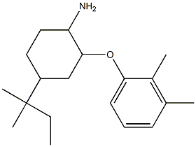 2-(2,3-dimethylphenoxy)-4-(2-methylbutan-2-yl)cyclohexan-1-amine 结构式