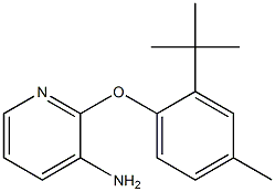 2-(2-tert-butyl-4-methylphenoxy)pyridin-3-amine 结构式