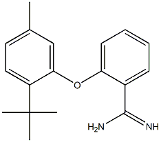 2-(2-tert-butyl-5-methylphenoxy)benzene-1-carboximidamide 结构式