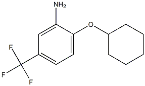 2-(cyclohexyloxy)-5-(trifluoromethyl)aniline 结构式
