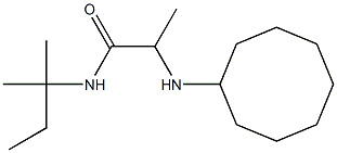 2-(cyclooctylamino)-N-(2-methylbutan-2-yl)propanamide 结构式