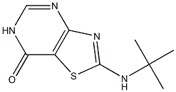 2-(tert-butylamino)[1,3]thiazolo[4,5-d]pyrimidin-7(6H)-one 结构式