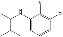 2,3-dichloro-N-(3-methylbutan-2-yl)aniline 结构式