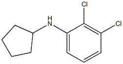 2,3-dichloro-N-cyclopentylaniline 结构式