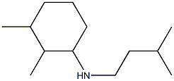 2,3-dimethyl-N-(3-methylbutyl)cyclohexan-1-amine 结构式