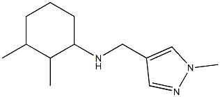 2,3-dimethyl-N-[(1-methyl-1H-pyrazol-4-yl)methyl]cyclohexan-1-amine 结构式