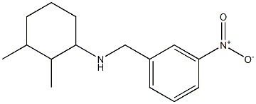 2,3-dimethyl-N-[(3-nitrophenyl)methyl]cyclohexan-1-amine 结构式