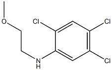 2,4,5-trichloro-N-(2-methoxyethyl)aniline 结构式