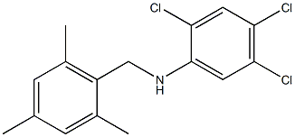 2,4,5-trichloro-N-[(2,4,6-trimethylphenyl)methyl]aniline 结构式