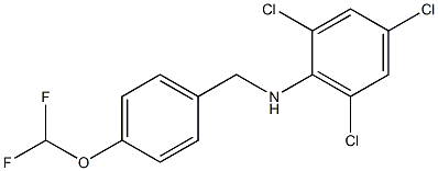 2,4,6-trichloro-N-{[4-(difluoromethoxy)phenyl]methyl}aniline 结构式