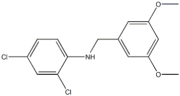 2,4-dichloro-N-[(3,5-dimethoxyphenyl)methyl]aniline 结构式