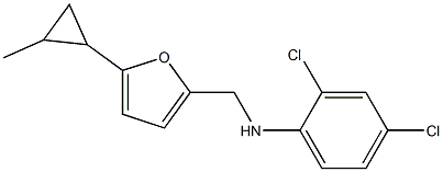 2,4-dichloro-N-{[5-(2-methylcyclopropyl)furan-2-yl]methyl}aniline 结构式