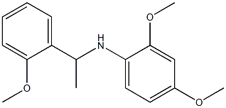 2,4-dimethoxy-N-[1-(2-methoxyphenyl)ethyl]aniline 结构式