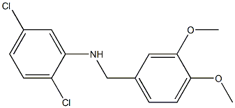 2,5-dichloro-N-[(3,4-dimethoxyphenyl)methyl]aniline 结构式