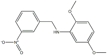 2,5-dimethoxy-N-[(3-nitrophenyl)methyl]aniline 结构式