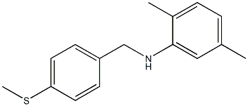 2,5-dimethyl-N-{[4-(methylsulfanyl)phenyl]methyl}aniline 结构式