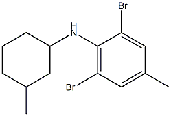 2,6-dibromo-4-methyl-N-(3-methylcyclohexyl)aniline 结构式