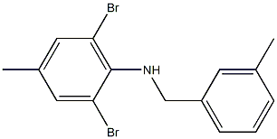 2,6-dibromo-4-methyl-N-[(3-methylphenyl)methyl]aniline 结构式
