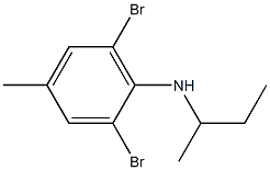 2,6-dibromo-N-(butan-2-yl)-4-methylaniline 结构式