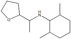 2,6-dimethyl-N-[1-(oxolan-2-yl)ethyl]cyclohexan-1-amine 结构式
