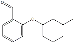 2-[(3-methylcyclohexyl)oxy]benzaldehyde 结构式