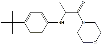 2-[(4-tert-butylphenyl)amino]-1-(morpholin-4-yl)propan-1-one 结构式