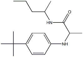 2-[(4-tert-butylphenyl)amino]-N-(pentan-2-yl)propanamide 结构式