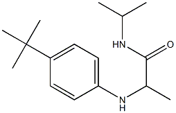 2-[(4-tert-butylphenyl)amino]-N-(propan-2-yl)propanamide 结构式